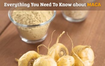 Everything You Need To Know About Maca