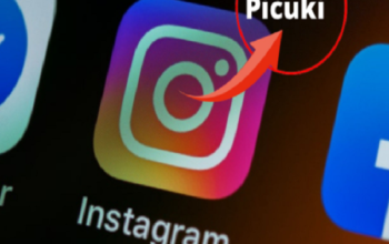 How to Use Picuki on Instagram