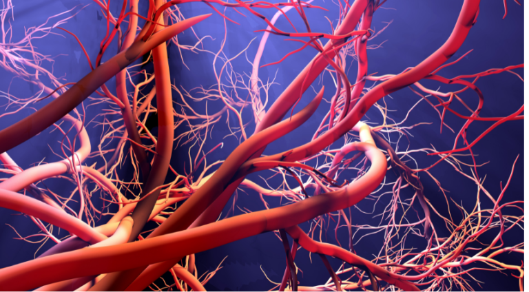 Rajkotupdates.news:emm-negative-rare-blood-group-found-in-rajkot-man-11th-such-case-worldwide