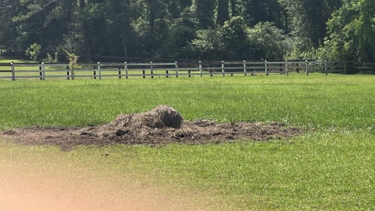 Hay Bales