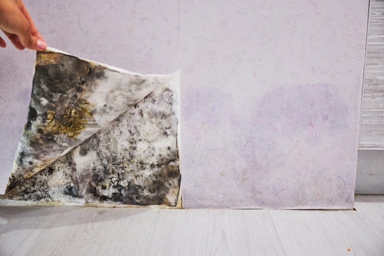 Hidden Mold